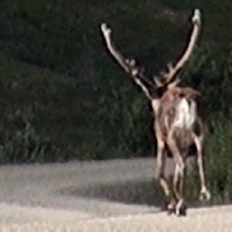 Screen Shot 2016-07-14 at 11.04.50 PM.jpg